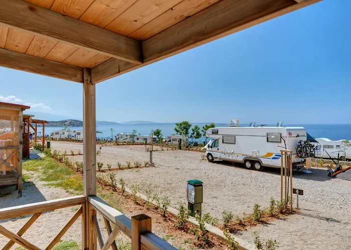 Skrila Sunny Пунат